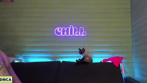 Snapshot of meowluv chatting on January 11, 3:31 pm  NIKKY  STIVE     Every day from 1000  to 200  EST time. online show from January 11, 3:31 pm