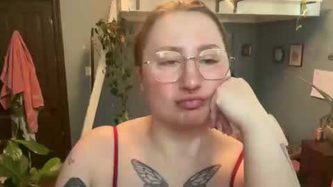 meowmaxx online show from April 8, 8:09 pm