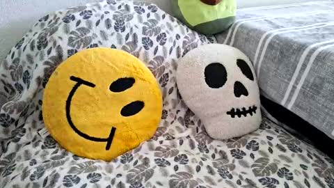 mexidaddycan online show from December 17, 6:58 pm