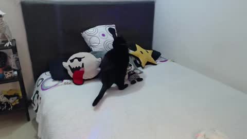 mia online show from October 4, 12:52 am