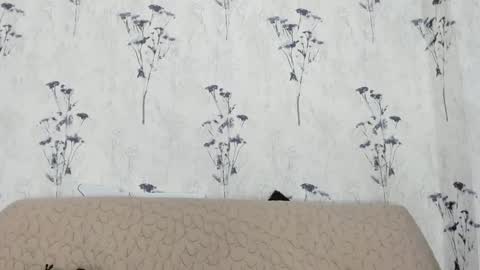 Snapshot of mia_candy_0 chatting on January 10, 3:06 pm Mia online show from January 10, 3:06 pm