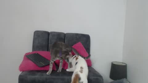 Snapshot of mia_foox29 chatting on November 13, 11:20 am M I A online show from November 13, 11:20 am