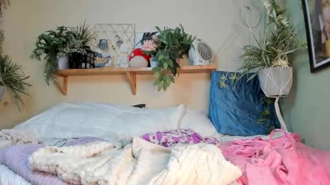 Miaa online show from December 20, 10:16 am