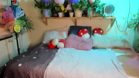 Miaa online show from February 3, 6:24 pm