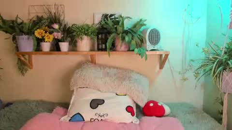 Miaa online show from June 19, 4:22 pm