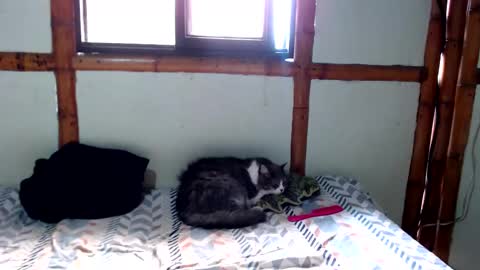 Mia  Sam online show from November 24, 4:18 pm