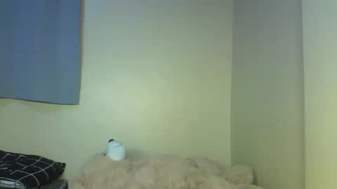 Muffin online show from December 17, 12:44 pm