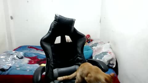 mia online show from May 9, 4:17 am