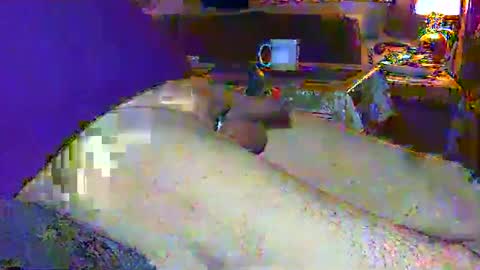 Micha online show from March 2, 4:39 am