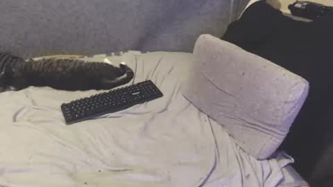 Michael online show from June 24, 8:46 am