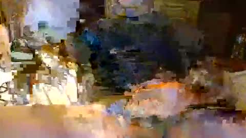 Snapshot of michiganstud28 chatting on April 22, 2:14 am michiganstud28 online show from April 22, 2:14 am