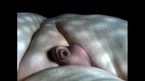 micropimmel online show from September 12, 3:23 pm