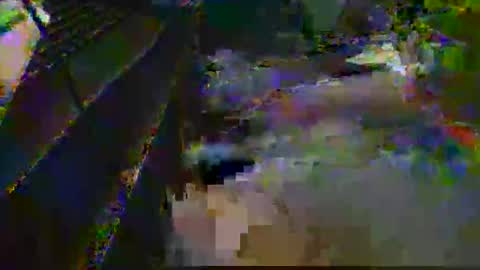 midtownhustler online show from March 25, 3:07 pm