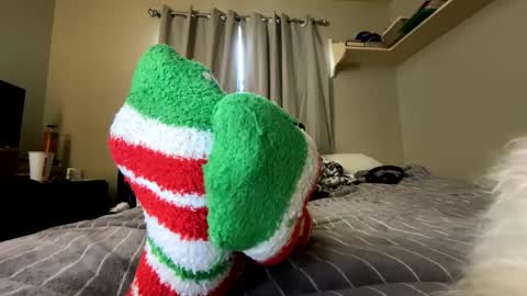 Snapshot of mik138 chatting on December 15, 3:05 pm mik138 online show from December 15, 3:05 pm