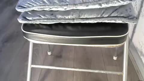 Snapshot of mike26051 chatting on December 15, 3:27 pm mike26051 online show from December 15, 3:27 pm