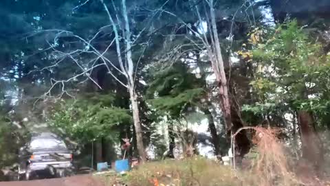 mikeblair5081 online show from December 22, 7:55 pm