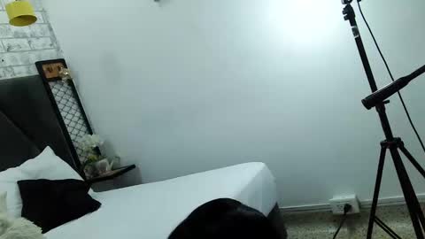 mila_adamss online show from December 23, 10:21 am