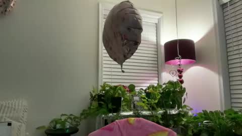 Snapshot of milf_goddess chatting on July 13, 2:36 am MIlf Goddess online show from July 13, 2:36 am