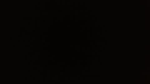 Rosalie  online show from October 6, 9:40 am