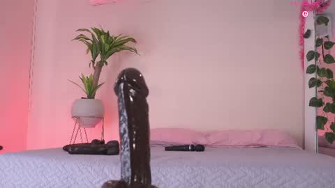    online show from June 24, 2:38 pm