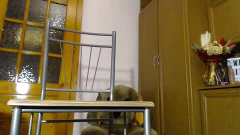 Im  to see you here Pvts are open  I love patterns soo much online show from December 4, 6:11 am