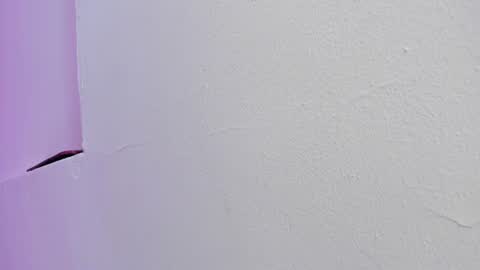 miller_silvana online show from July 29, 11:52 am