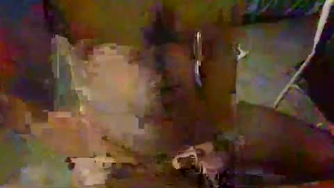 minoas31 online show from December 9, 6:46 pm