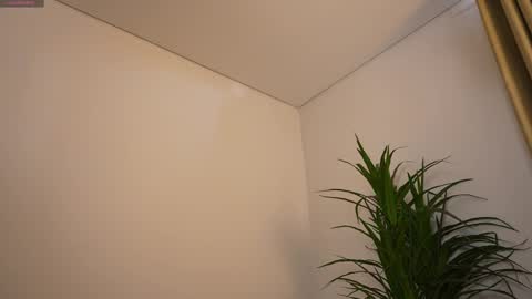 miss airi online show from March 1, 3:03 pm