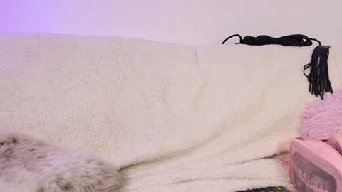 miss_sophia21 online show from February 18, 2:51 am