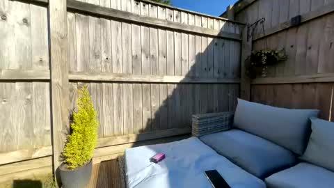  Miss Alex  online show from March 21, 2:09 pm