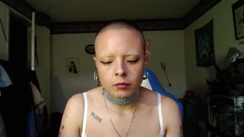 Anarkitten  online show from October 30, 9:48 pm