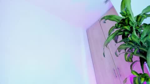 missangeldust online show from December 2, 11:37 am