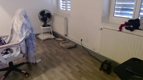 missthon online show from January 2, 2:24 pm