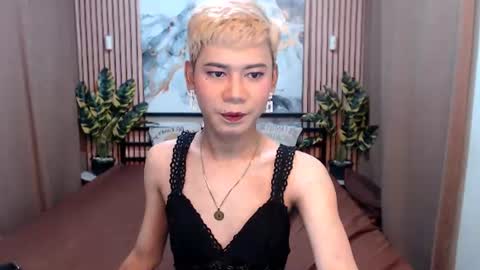 Stella online show from August 5, 5:54 am