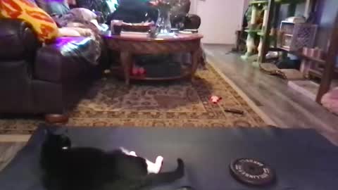 Jaxie online show from February 2, 10:52 pm