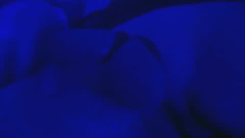 Snapshot of misterfixxit chatting on October 4, 6:00 am Mike Cho online show from October 4, 6:00 am