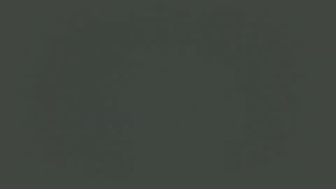 mistxss online show from November 25, 1:55 pm