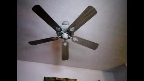 Snapshot of mitchnails69 chatting on December 22, 12:05 pm BobbyMitchGa online show from December 22, 12:05 pm