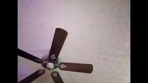 Snapshot of mitchnails69 chatting on January 4, 6:41 am BobbyMitchGa online show from January 4, 6:41 am