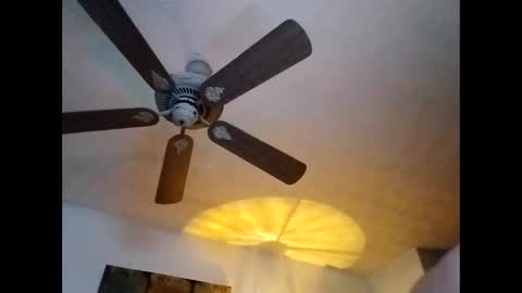 Snapshot of mitchnails69 chatting on January 7, 1:14 pm BobbyMitchGa online show from January 7, 1:14 pm