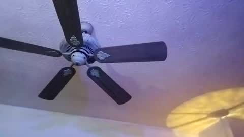 Snapshot of mitchnails69 chatting on February 12, 12:44 pm BobbyMitchGa online show from February 12, 12:44 pm