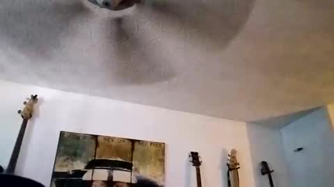 Snapshot of mitchnails69 chatting on September 14, 6:18 pm BobbyMitchGa online show from September 14, 6:18 pm