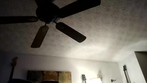 Snapshot of mitchnails69 chatting on September 20, 10:27 am BobbyMitchGa online show from September 20, 10:27 am