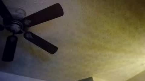 Snapshot of mitchnails69 chatting on October 10, 8:13 am BobbyMitchGa online show from October 10, 8:13 am