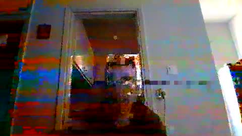 mmpempis81 online show from March 9, 4:11 pm