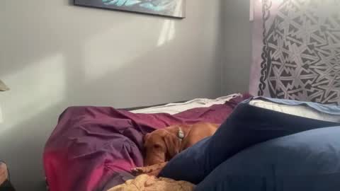 MNTuiLa online show from February 17, 3:31 pm