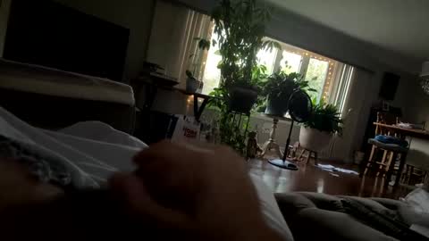 moethecheater7 online show from October 2, 10:28 pm