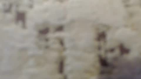 Mohito200711 online show from September 12, 6:35 am