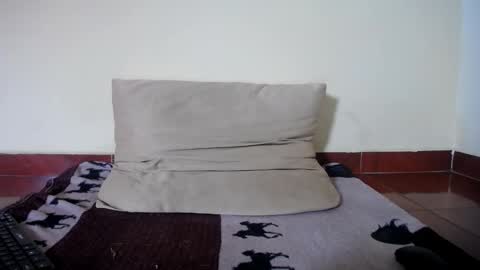 Snapshot of molly_fragance chatting on December 15, 4:33 pm Molly online show from December 15, 4:33 pm