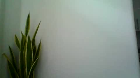 mollypepe online show from September 9, 9:42 am